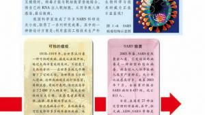 苏教版高二生物必修3（稳定与环境）电子课本第二节 生物科学的学习过程(第7页)