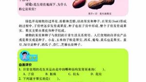 苏教版七年级生物上册(旧版)电子课本-苏教版初一生物上册(旧版)电子课本第五节 植物的开花和结果(第75页)