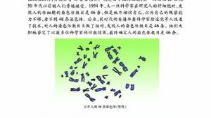 苏教版七年级生物上册(旧版)电子课本-苏教版初一生物上册(旧版)电子课本第二节 探索生命的方法(第29页)