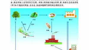 苏教版八年级生物下册(旧版)电子课本-苏教版初二生物下册(旧版)电子课本第一节 生物圈中的各种生态系统(第100页)