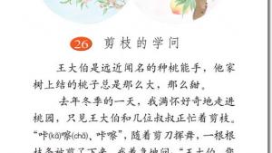 苏教版三年级语文下册电子课本26 剪枝的学问(第144页)