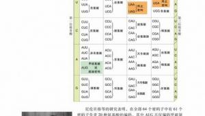 苏教版高一生物必修2（遗传与进化）电子课本第三节 基因控制蛋白质的合成(第70页)