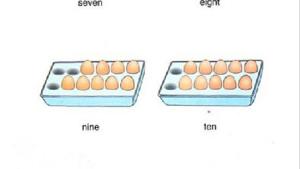 苏教版二年级英语2B电子课本Unit6 let is count(第24页)