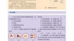 苏教版高一生物必修2（遗传与进化）电子课本生殖细胞的形成(第16页)
