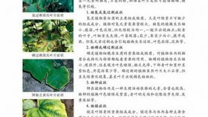苏教版高一生物必修1（分子与细胞）电子课本细胞中的无机化合物(第16页)
