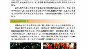苏教版八年级生物上册(旧版)电子课本-苏教版初二生物上册(旧版)电子课本第一节 动物行为的主要类型(第62页)