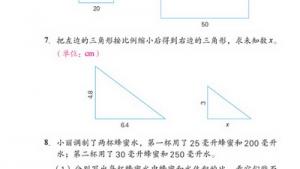 苏教版六年级数学下册(旧版)电子课本3 比例(第47页)