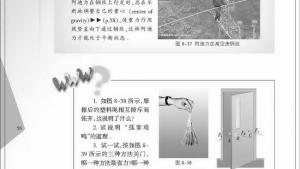 苏教版八年级物理下册电子课本,苏教版初二物理下册电子课本四、力的作用是相互的(第56页)