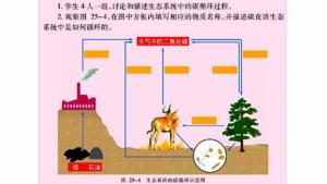 苏教版八年级生物下册(旧版)电子课本-苏教版初二生物下册(旧版)电子课本第二节 生态系统中的能量流动和物质循环(第92页)