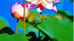 苏教版八年级生物上册(旧版)电子课本-苏教版初二生物上册(旧版)电子课本第5单元 生物的生殖、发育与遗传(第1页)