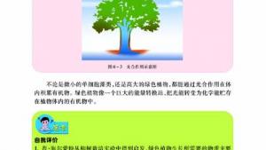 苏教版七年级生物上册(旧版)电子课本-苏教版初一生物上册(旧版)电子课本第一节 植物光合作用的发现(第80页)