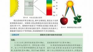 苏教版高一生物必修1（分子与细胞）电子课本光合色素与光能量的捕获(第63页)