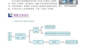 苏教版高三化学-实验化学电子课本课题1 牙膏和火柴中某些成分的检验(第33页)