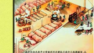 苏教版八年级生物下册(旧版)电子课本-苏教版初二生物下册(旧版)电子课本第20章 日常生活中的生物技术(第2页)