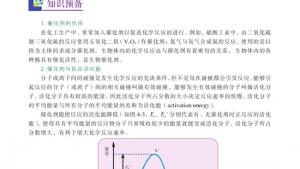 苏教版高三化学-实验化学电子课本课题2 催化剂对过氧化氢分解反应速率的影响(第48页)
