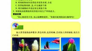 苏教版八年级生物上册(旧版)电子课本-苏教版初二生物上册(旧版)电子课本第一节 生物的无性生殖(第6页)