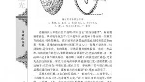 苏教版高三语文必修五电子课本南州六月荔枝丹(第16页)