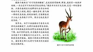 苏教版八年级生物下册(旧版)电子课本-苏教版初二生物下册(旧版)电子课本第三节 千姿百态的动物世界(第45页)