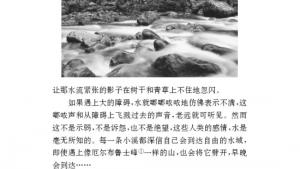 苏教版九年级语文上册电子课本-苏教版初三语文上册电子课本二 林中小溪 诵读欣赏(第8页)