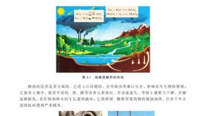 苏教版高一化学1电子课本第一单元 含硫化合物的性质和应用(第89页)