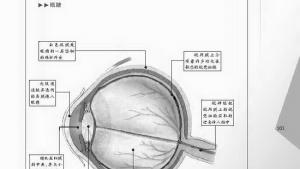 苏教版八年级物理上册电子课本,苏教版初二物理上册电子课本综合实践活动(第103页)