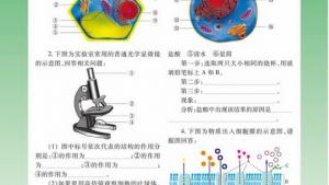 苏教版高一生物必修1（分子与细胞）电子课本主动运输(第51页)