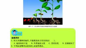 苏教版七年级生物上册(旧版)电子课本-苏教版初一生物上册(旧版)电子课本第一节 植物种子的萌发(第57页)