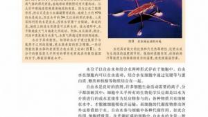 苏教版高一生物必修1（分子与细胞）电子课本细胞中的无机化合物(第14页)