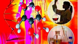 苏教版八年级生物下册(旧版)电子课本-苏教版初二生物下册(旧版)电子课本第8单元 生物技术(第1页)