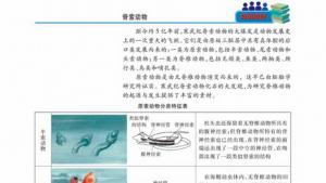 苏教版高一生物必修2（遗传与进化）电子课本像科学家一样思考：科学思维(第10页)