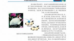 苏教版高一生物必修2（遗传与进化）电子课本基因的分离定律的应用(第34页)