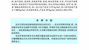苏教版七年级生物上册(旧版)电子课本-苏教版初一生物上册(旧版)电子课本第五节 光合作用和呼吸作用原理的应用(第97页)