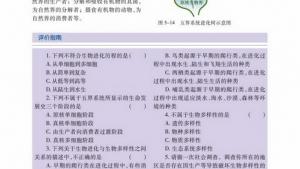 苏教版高一生物必修2（遗传与进化）电子课本生物进化的基本历程生物进化与生物多样性的形成(第109页)