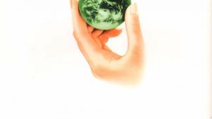 苏教版八年级生物下册(旧版)电子课本-苏教版初二生物下册(旧版)电子课本第一节 生物圈中的各种生态系统(第118页)