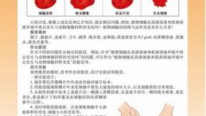 苏教版高一生物必修1（分子与细胞）电子课本主动运输(第52页)