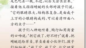 苏教版三年级语文下册电子课本19 放飞蜻蜓(第107页)