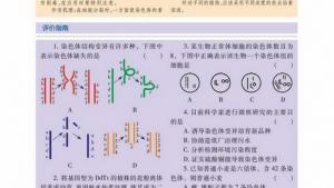 苏教版高一生物必修2（遗传与进化）电子课本染色体变异在育种上的应用(第48页)