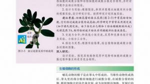 苏教版高一生物必修2（遗传与进化）电子课本生殖细胞的形成(第14页)
