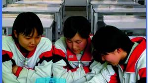 苏教版七年级生物上册(旧版)电子课本-苏教版初一生物上册(旧版)电子课本第1单元 探索生命的奥秘(第1页)