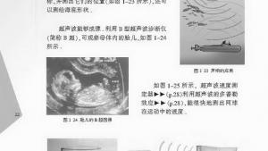 苏教版八年级物理上册电子课本,苏教版初二物理上册电子课本四、人耳听不见的声音(第22页)