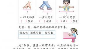 苏教版二年级数学上册(旧版)电子课本六 厘米和米(第55页)