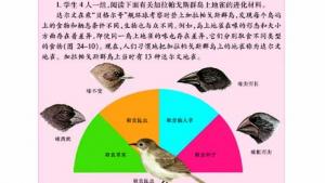 苏教版八年级生物下册(旧版)电子课本-苏教版初二生物下册(旧版)电子课本第三节 生物进化的学说(第74页)