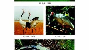 苏教版八年级生物下册(旧版)电子课本-苏教版初二生物下册(旧版)电子课本第三节 千姿百态的动物世界(第43页)