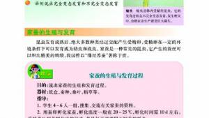 苏教版八年级生物上册(旧版)电子课本-苏教版初二生物上册(旧版)电子课本第三节 昆虫的生殖与发育(第14页)