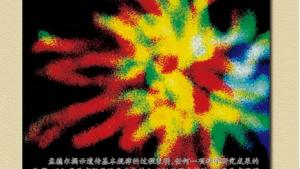 苏教版高一生物必修2（遗传与进化）电子课本第三章 遗传和染色体(第26页)