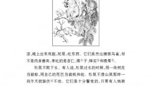 苏教版七年级语文下册电子课本-苏教版初一语文下册电子课本十五 松鼠(第127页)