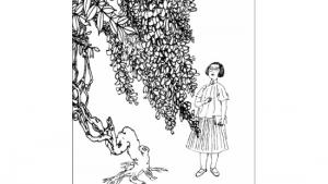 苏教版八年级语文下册电子课本,苏教版初二语文下册电子课本五 *紫藤萝瀑布(第19页)