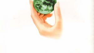 苏教版八年级生物上册(旧版)电子课本-苏教版初二生物上册(旧版)电子课本第二节 拒绝毒品(第106页)