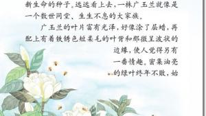 苏教版六年级语文下册电子课本18、广玉兰(第94页)