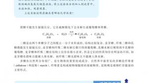 苏教版高三化学-有机化学基础电子课本第一单元 糖类 油脂(第93页)